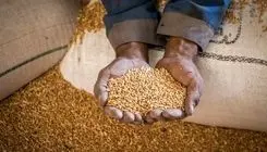 مبلغ فطریه امسال مشخص شد 