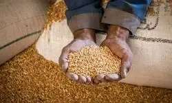 مبلغ فطریه امسال مشخص شد 