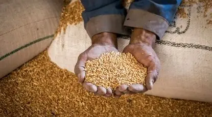 مبلغ فطریه امسال از سوی مراجع عظام اعلام شد