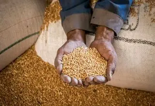 میزان فطریه مقلدان رهبر شهید 