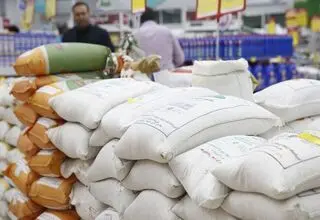 گنجشک رنگ شده به جای قناری؛ بسته‌بندی برنج پاکستانی در کیسه‌های برنج ایرانی!