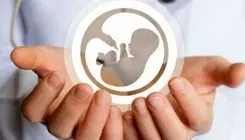  سقوط نرخ باروری؛ قانون جوانی جمعیت روی کاغذ ماند