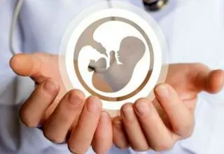  سقوط نرخ باروری؛ قانون جوانی جمعیت روی کاغذ ماند