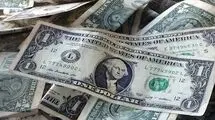 ۳۵۰ هزار تومان اختلاف در هر ۱۰۰ دلار | سوءاستفاده از تفاوت دلار سفید و آبی در بازار آزاد