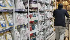 افزایش آرام اما سنگین؛ قیمت برنج ایرانی به ۴ میلیون رسید + جدول (۲۲ مهر ۱۴۰۴)