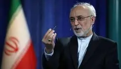علی اکبر صالحی: مقاومت هرگز به معنای نفی گفت‌وگو نیست