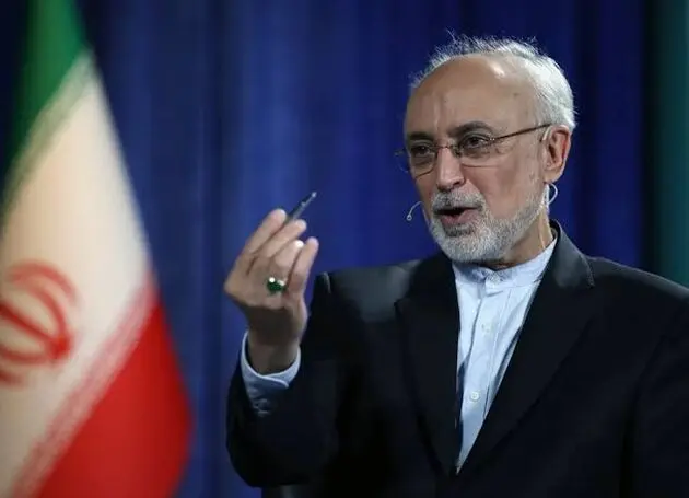 علی اکبر صالحی: مقاومت هرگز به معنای نفی گفت‌وگو نیست