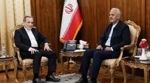 سرپرست سفارت ایران در کابل با عراقچی دیدار و گفت‌و‌گو کرد