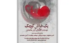  «یک خراش کوچک» در تالار مولوی