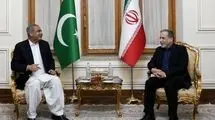 وزیر کشور پاکستان با عراقچی دیدار کرد