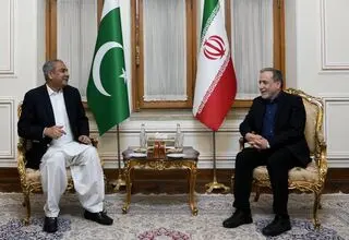 وزیر کشور پاکستان با عراقچی دیدار کرد