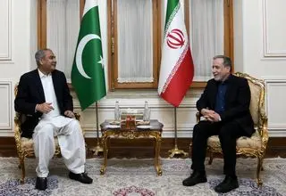 وزیر کشور پاکستان با عراقچی دیدار کرد