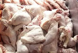 فروش مرغ بالاتر از ۱۰۵ هزارتومان گرانفروشی است