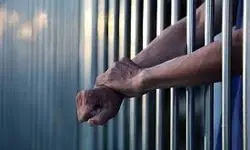 محکومیت یک پناهجوی ایرانی در اتریش
