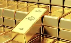 استقبال زنان و نسل زدی‌ها از بازار طلای آنلاین