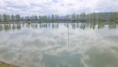 آغاز احداث دومین نیروگاه خورشیدی شناور در شمال کشور
