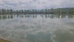 آغاز احداث دومین نیروگاه خورشیدی شناور در شمال کشور