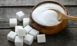 آغاز ثبت سفارشات جدید واردات شکر خام از هفته آینده