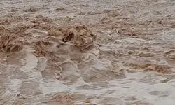 هشدار نارنجی رگبار برای جنوب کشور
