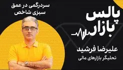 سردرگمی در عمق سبزی شاخص
