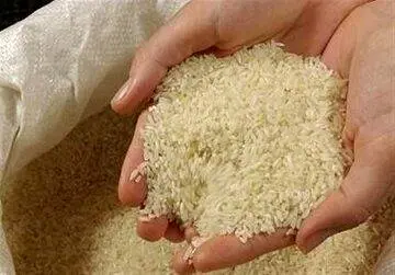 قیمت برنج اعلام شد؛ کاهش قیمت تا ۱۵۸ هزار تومان!