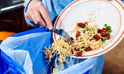 آمار وحشتناک از دورریز مواد غذایی در ایران؛ سالی ۱۵ میلیارد دلار!