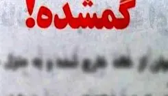پایان ماجرای ناپدید شدن دختر ۱۷ ساله/ متهم با اسنپ به دیدار دختر مفقوده رفت!