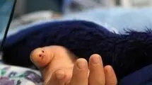 جزئیات دردناک مرگ تلخ دختر ۳ ساله