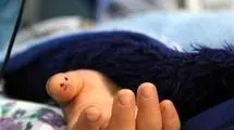 جزئیات دردناک مرگ تلخ دختر ۳ ساله