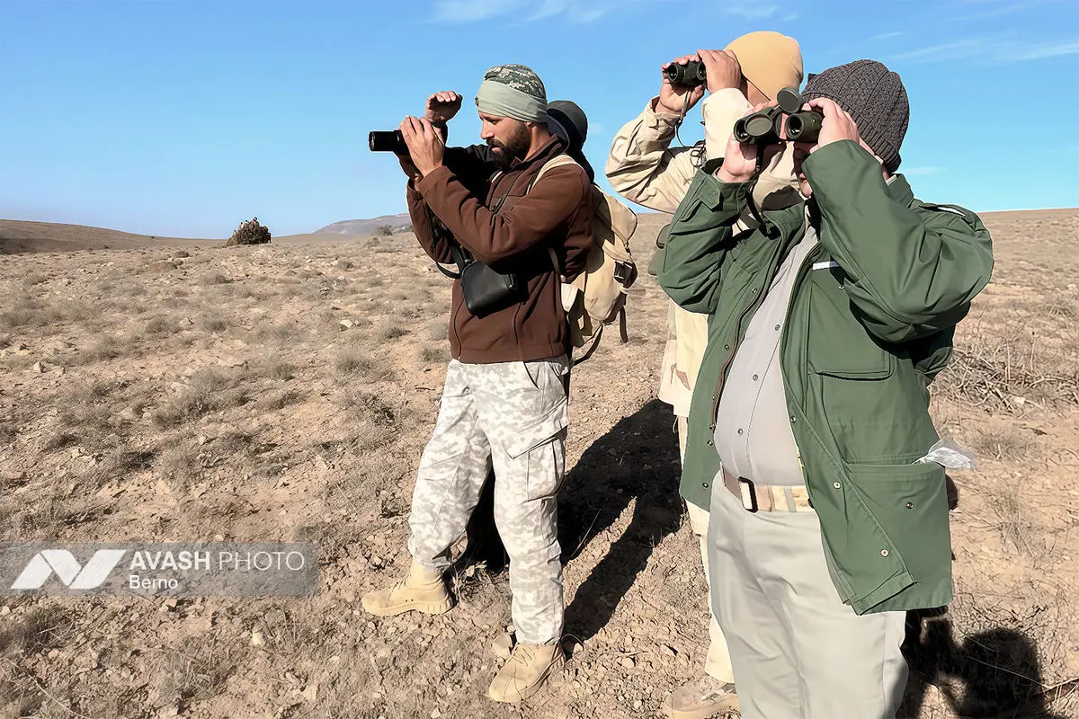 سرشماری پاییزه پارک ملی گلستان