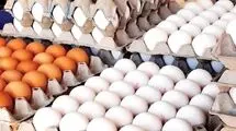 هرکیلو تخم مرغ ۲۵۰ تا ۲۶۰ هزارتومان و شانه ای ۵۰۰ هزارتومان