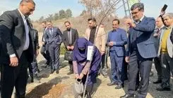 رئیس سازمان محیط‌ زیست به پویش ملی درختکاری «سرو ایران» پیوست