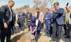 رئیس سازمان محیط‌ زیست به پویش ملی درختکاری «سرو ایران» پیوست