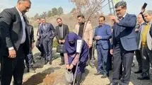 رئیس سازمان محیط‌ زیست به پویش ملی درختکاری «سرو ایران» پیوست
