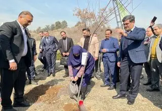 رئیس سازمان محیط‌ زیست به پویش ملی درختکاری «سرو ایران» پیوست