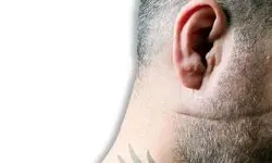 پلیس فتا با شرخرهای مجازی برخورد می‌کند