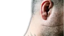 پلیس فتا با شرخرهای مجازی برخورد می‌کند
