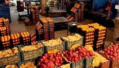 بهبود بازار گوجه فرنگی؛ عرضه با نرخ کیلویی ۷۰ هزارتومان