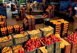 بهبود بازار گوجه فرنگی؛ عرضه با نرخ کیلویی ۷۰ هزارتومان