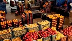بهبود بازار گوجه فرنگی؛ عرضه با نرخ کیلویی ۷۰ هزارتومان