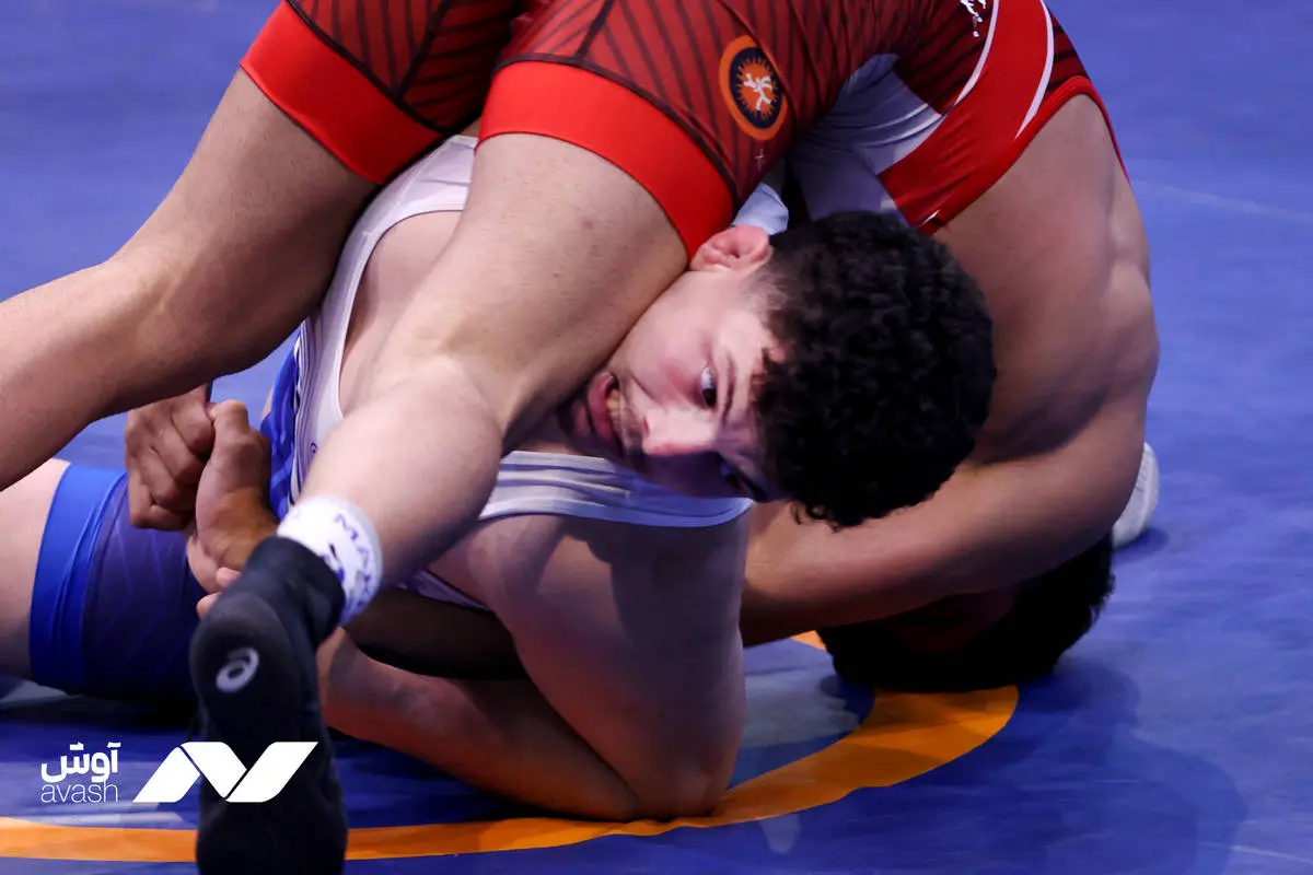 تیم کشتی فرنگی استقلال قم فینالیست شد 