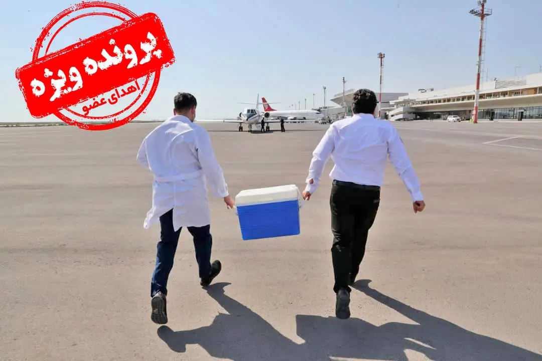 زخم زبانهایی برای یک کار ستودنی