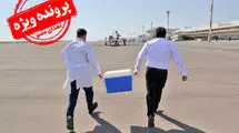 زخم زبان‌هایی برای یک کار ستودنی