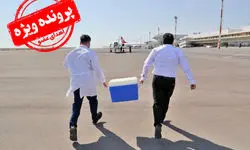 زخم زبان‌هایی برای یک کار ستودنی