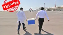 زخم زبان‌هایی برای یک کار ستودنی