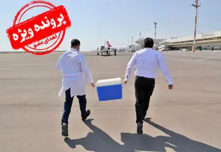 زخم زبان‌هایی برای یک کار ستودنی