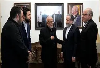 عراقچی با خانواده سیدحسن نصرالله دیدار کرد 