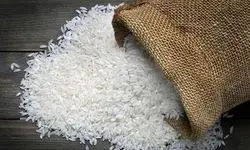 خبر بد برای برنج ایران اعلام شد (۱۵ آذر ۱۴۰۴)
