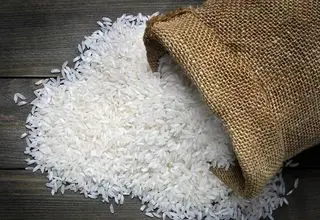 خبر بد برای برنج ایران اعلام شد (۱۵ آذر ۱۴۰۴)