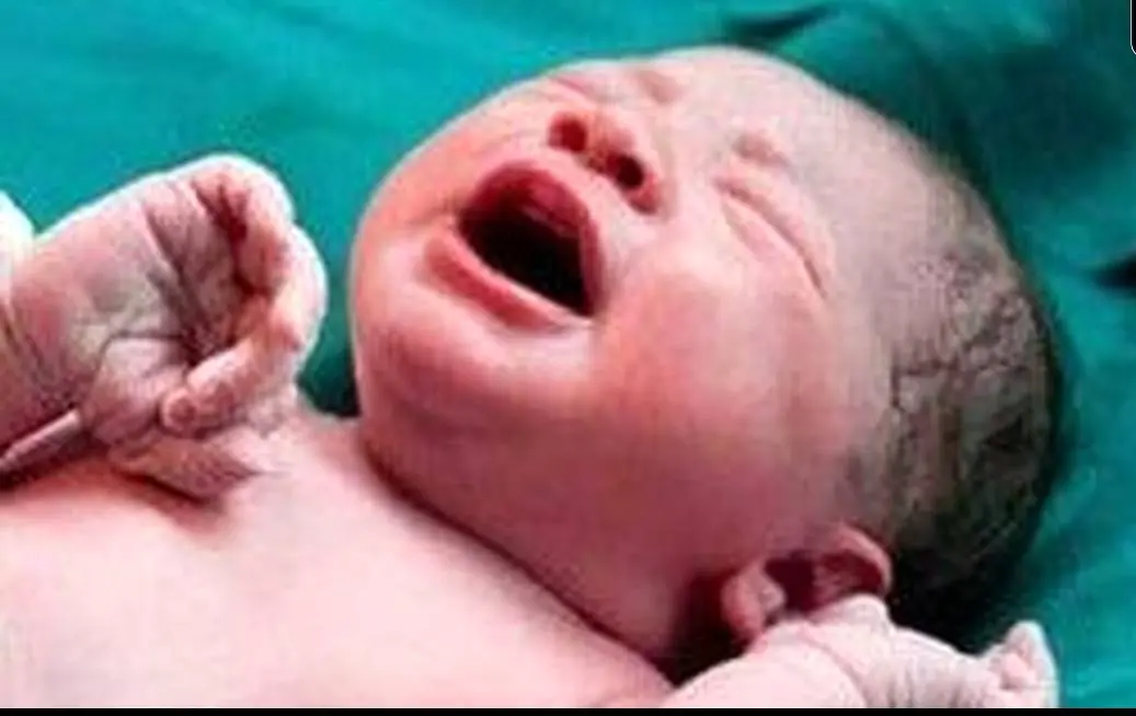 زنده شدن جنین فریز شده پس از 12 سال در اصفهان